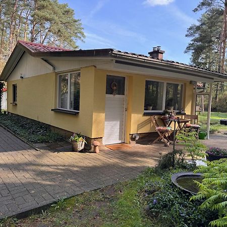 Ferienhaus Im Wald Borkwalde Bagian luar foto