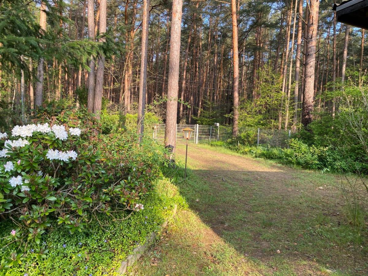 Ferienhaus Im Wald Borkwalde Bagian luar foto