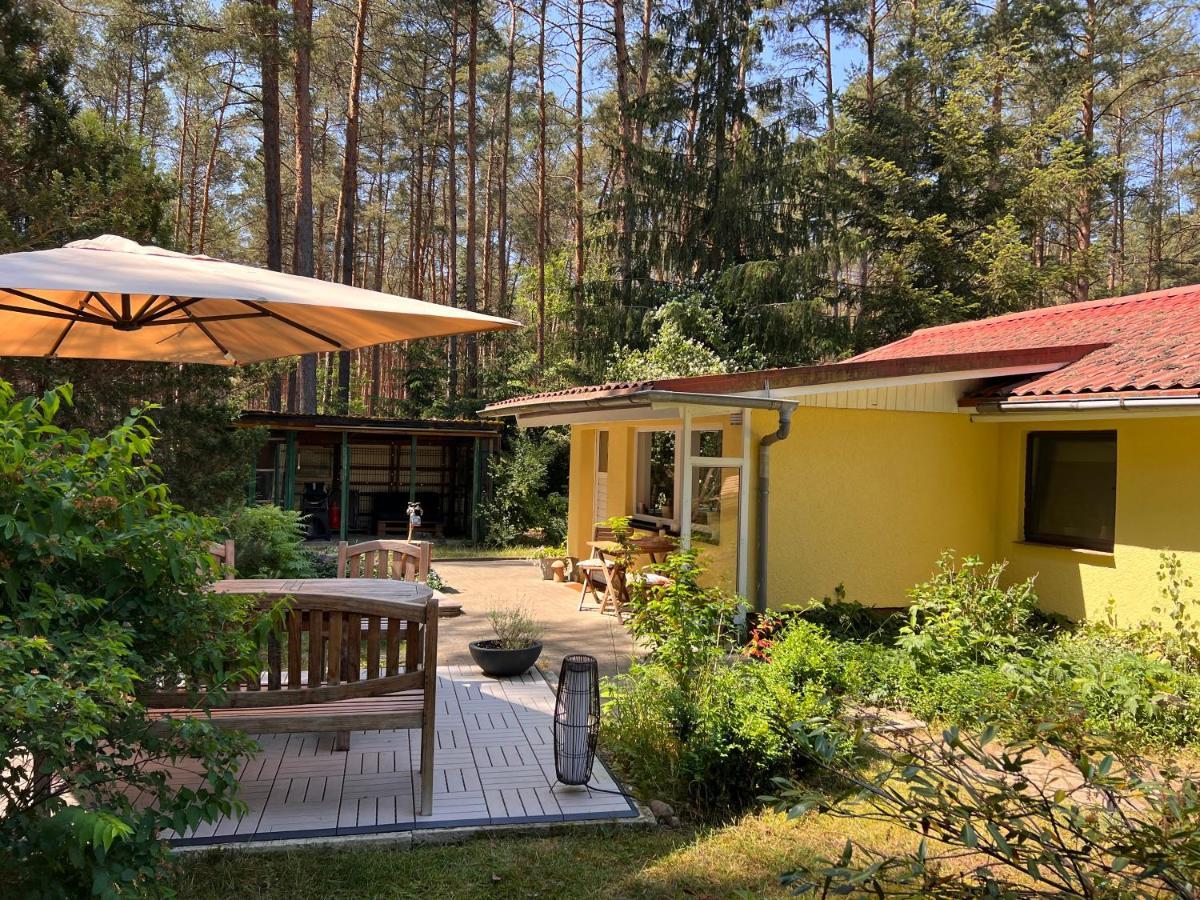 Ferienhaus Im Wald Borkwalde Bagian luar foto