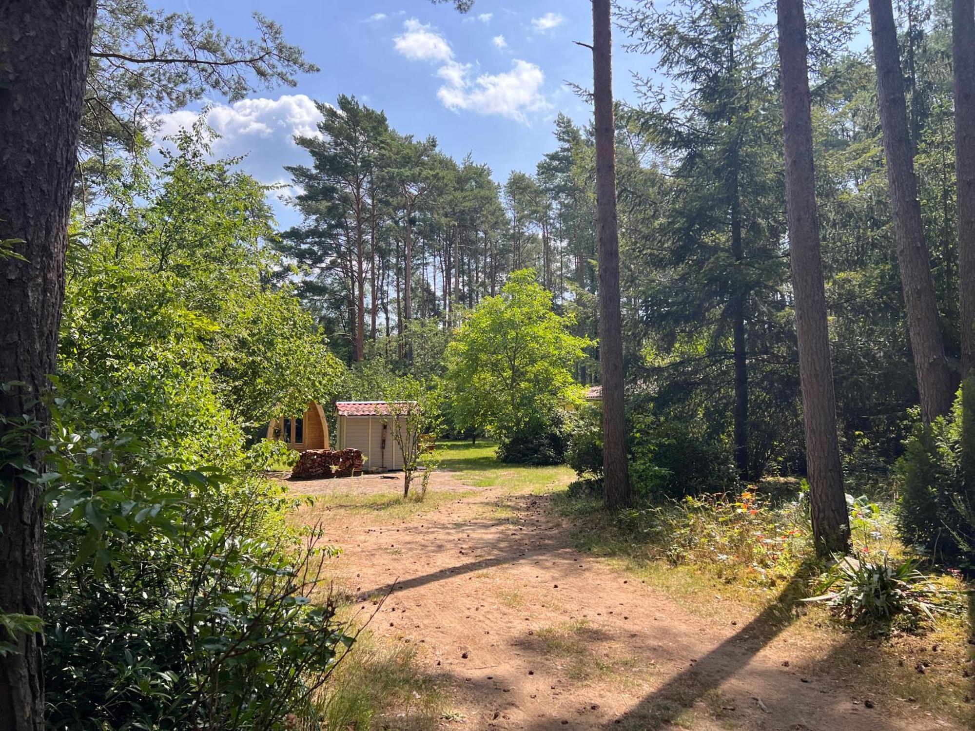 Ferienhaus Im Wald Borkwalde Bagian luar foto