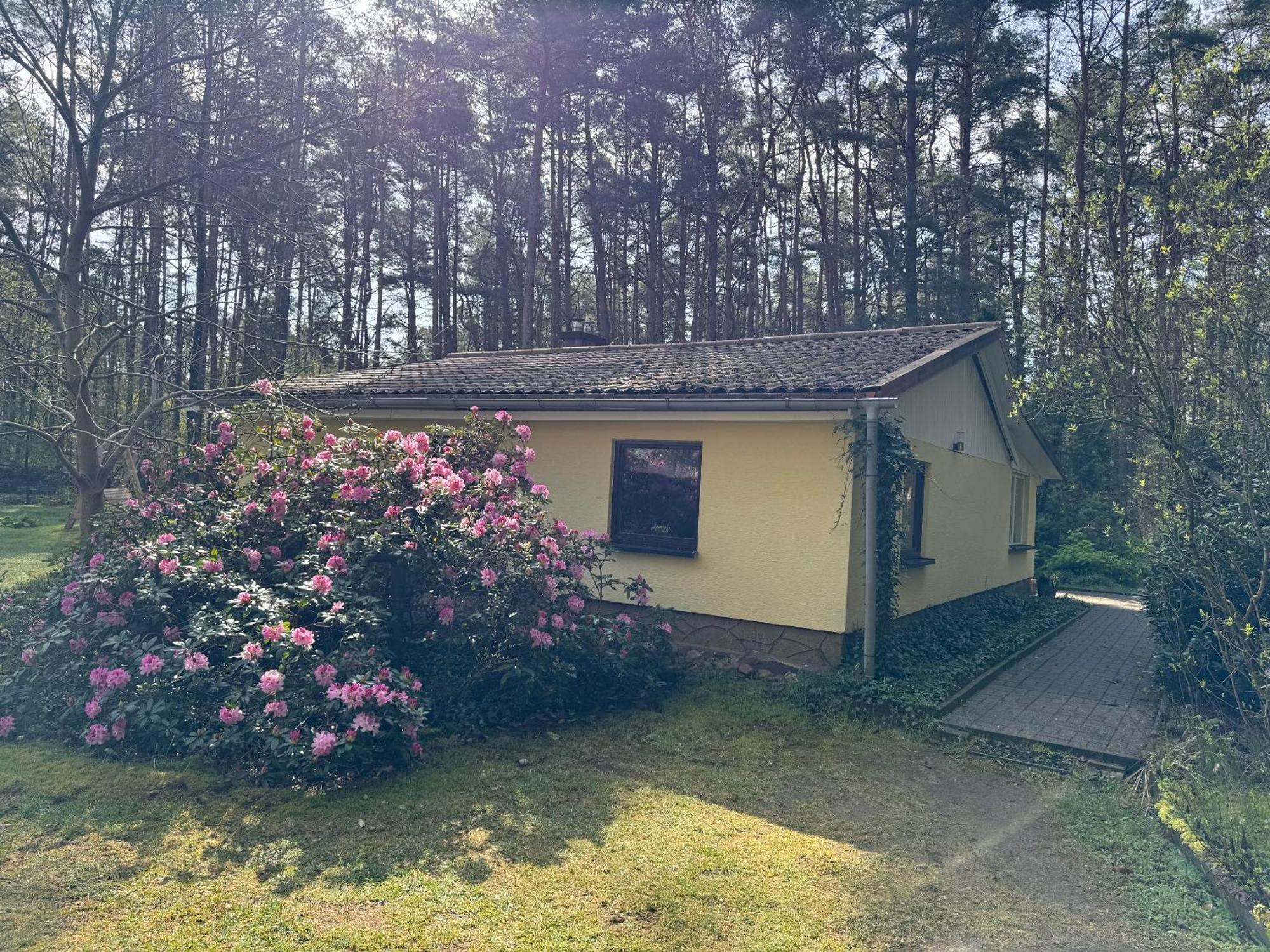 Ferienhaus Im Wald Borkwalde Bagian luar foto