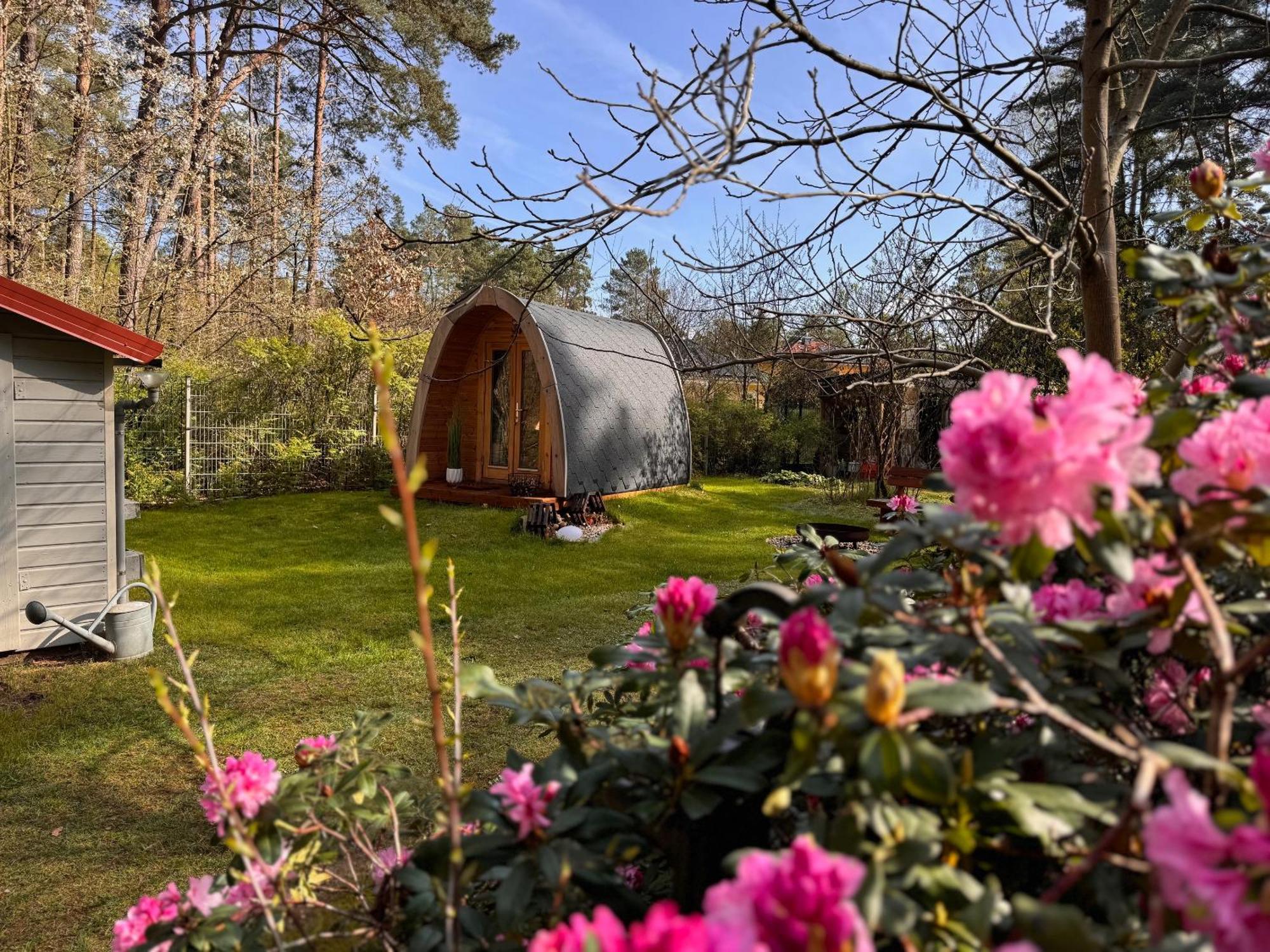 Ferienhaus Im Wald Borkwalde Bagian luar foto